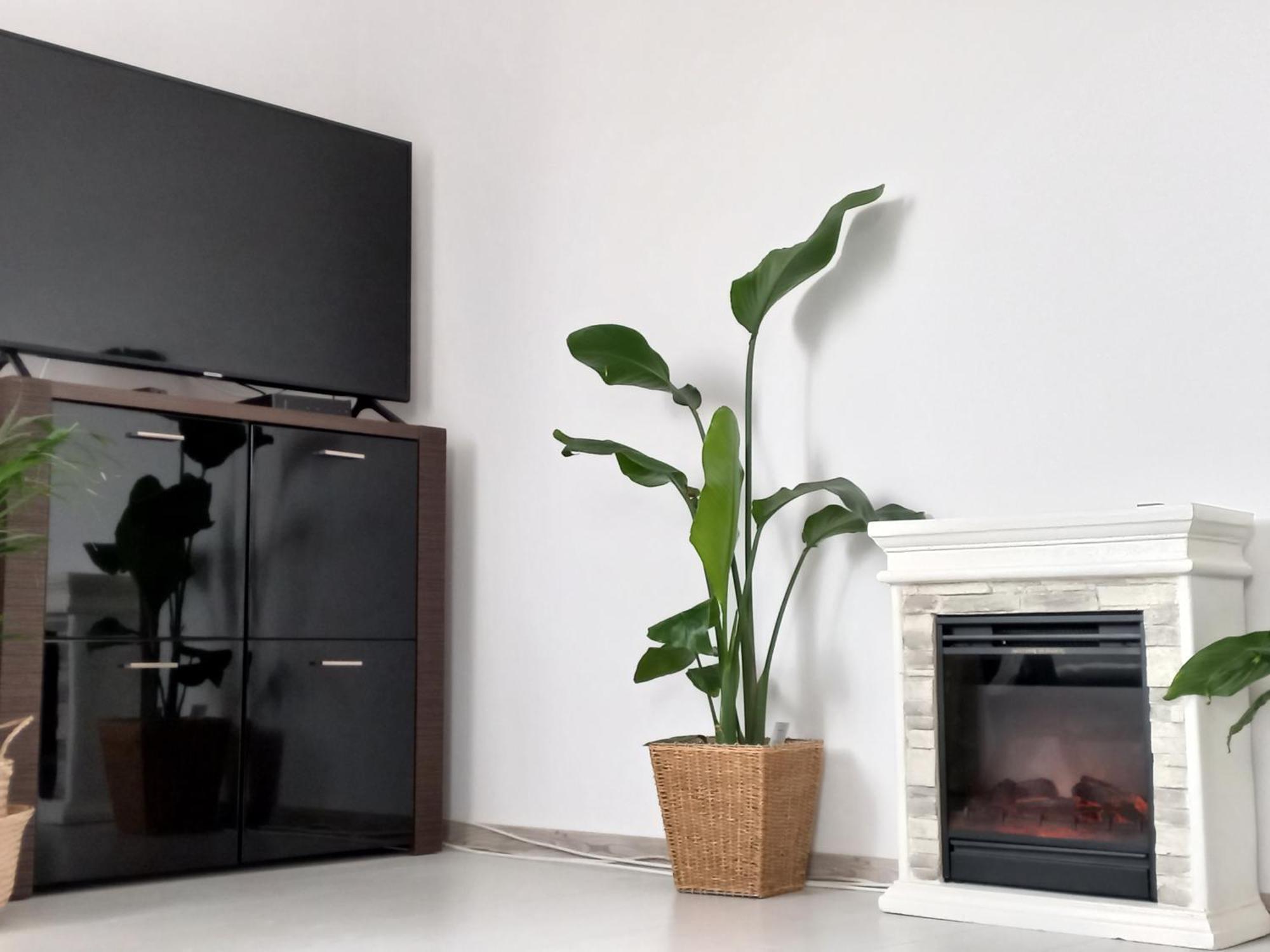 Beka Apartment *